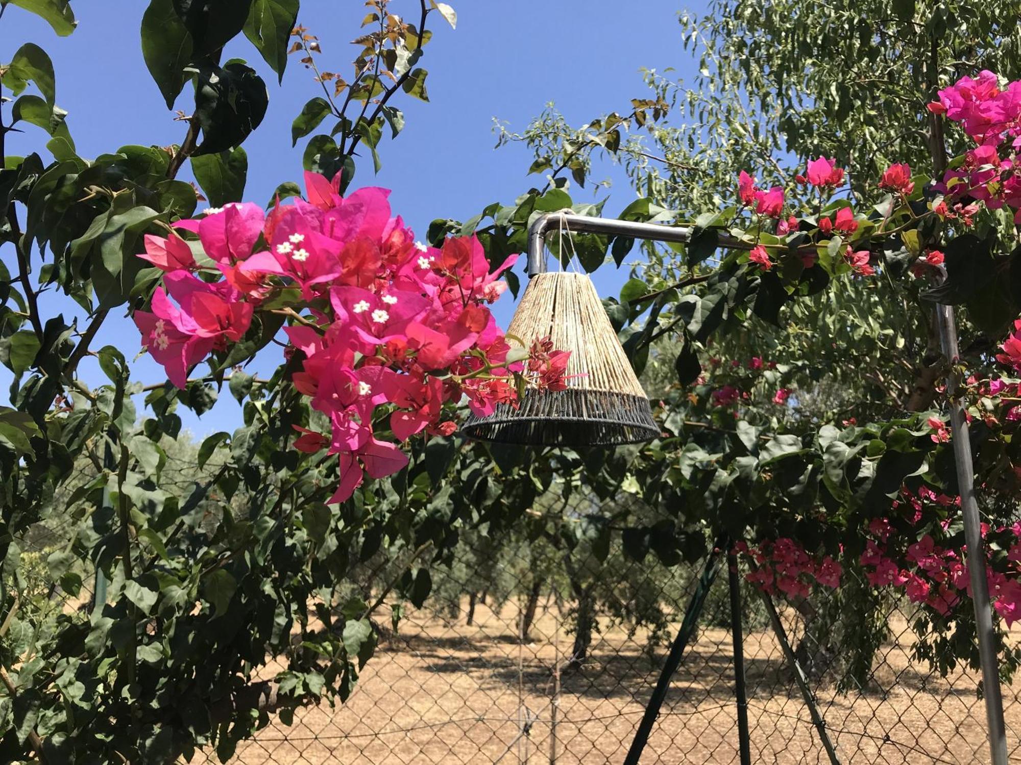 נוטו Casapiuholidaysicilia-Adults Only חדר תמונה
