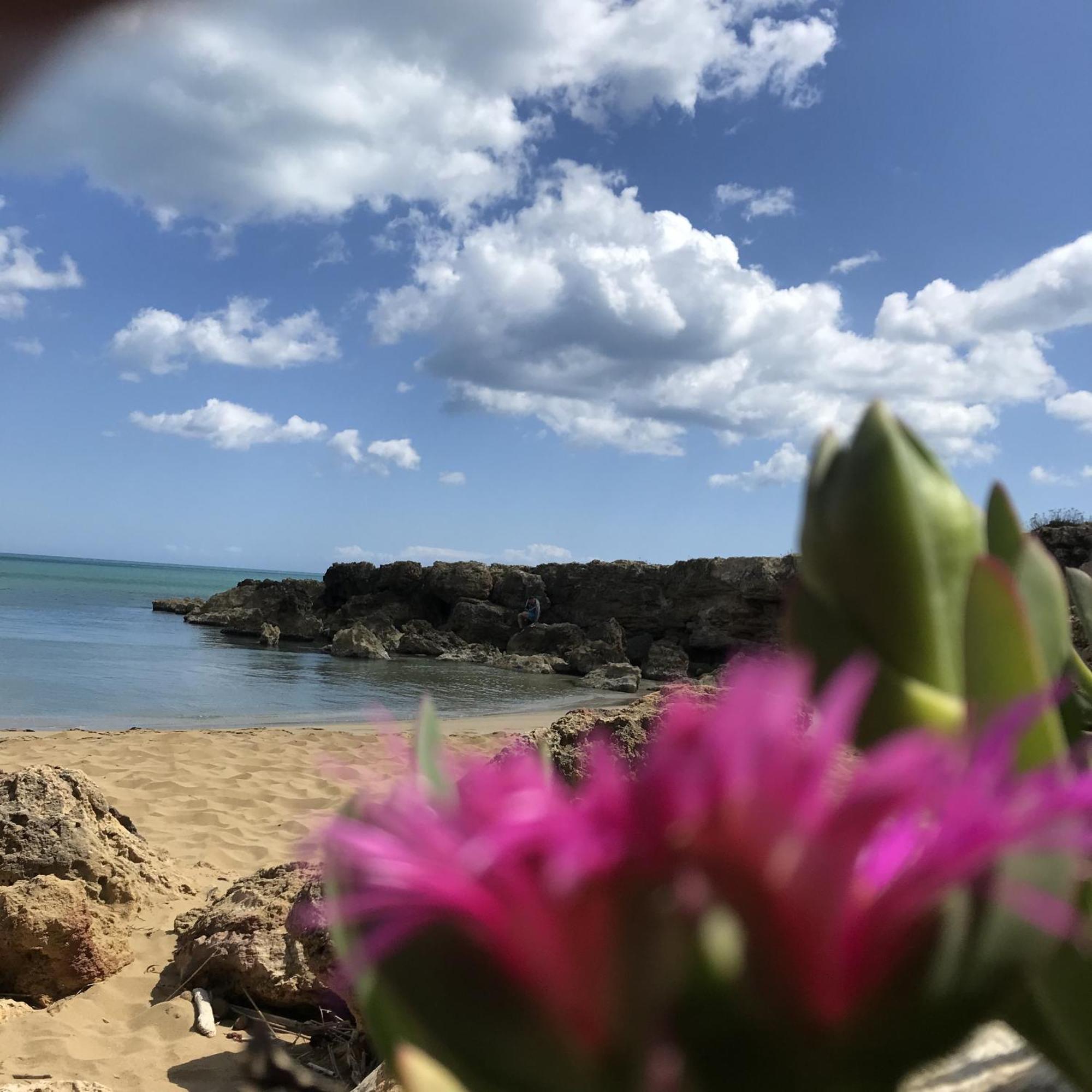 נוטו Casapiuholidaysicilia-Adults Only מראה חיצוני תמונה